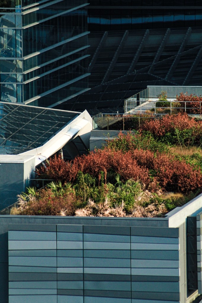 Плоская или скатная зеленая крыша, похожая на лужайку, моментально создает умиротворяющую атмосферу загородного отдыха. Как воплотить эту идею в жизнь? 